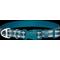 Show in main carousel: Frisco Outdoor Nylon Reflective Comfort Padded Dog Collar, Bayou Teal, SM - Neck: 10-14-in, Width: 5/8-in slide 4 of 8
