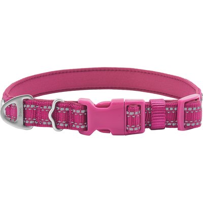 Frisco Frisco Outdoor Nylon Reflective Comfort Padded Dog Collar, Boysenberry Purple, MD - Neck: 14-20-in, Width: 3/4-in