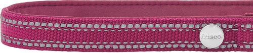 Show full view: Frisco Outdoor Nylon Reflective Comfort Padded Dog Collar, Boysenberry Purple, MD - Neck: 14-20-in, Width: 3/4-in slide 4 of 9