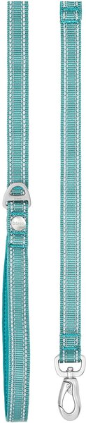 Show full view: Frisco Outdoor Nylon Reflective Comfort Padded Dual Handles Dog Leash, Bayou Teal, MD - Length: 6-ft, Width: 3/4-in slide 2 of 8