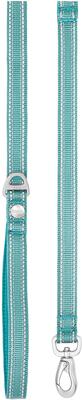 Show full view: Frisco Outdoor Nylon Reflective Comfort Padded Dual Handles Dog Leash, Bayou Teal, MD - Length: 6-ft, Width: 3/4-in slide 3 of 9