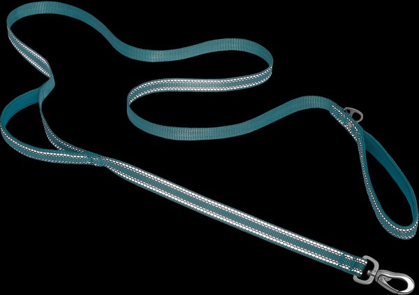 Show full view: Frisco Outdoor Nylon Reflective Comfort Padded Dual Handles Dog Leash, Bayou Teal, MD - Length: 6-ft, Width: 3/4-in slide 3 of 8