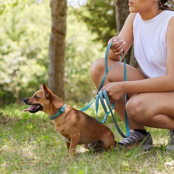 Show full view: Frisco Outdoor Nylon Reflective Comfort Padded Dual Handles Dog Leash, Bayou Teal, MD - Length: 6-ft, Width: 3/4-in slide 4 of 8