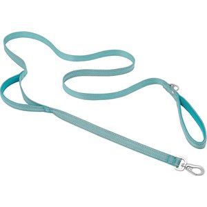 Frisco Outdoor Nylon Reflective Comfort Padded Dual Handles Dog Leash, Bayou Teal, SM - Length: 6-ft, Width: 5/8-in