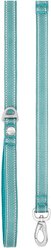 Frisco Outdoor Nylon Reflective Comfort Padded Dual Handles Dog Leash, Bayou Teal, SM - Length: 6-ft, Width: 5/8-in slide 2 of 6