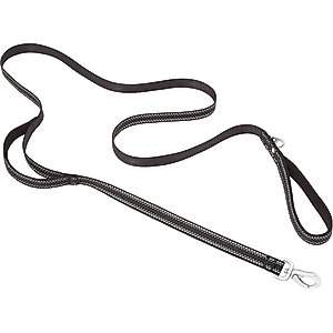 Frisco Outdoor Nylon Reflective Comfort Padded Dual Handles Dog Leash, Black, LG - Length: 6-ft, Width: 1-in