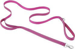 Frisco Outdoor Nylon Reflective Comfort Padded Dual Handles Dog Leash, Boysenberry Purple, LG - Length: 6-ft, Width: 1-in