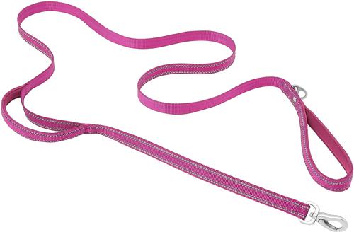Show full view: Frisco Outdoor Nylon Reflective Comfort Padded Dual Handles Dog Leash, Boysenberry Purple, LG - Length: 6-ft, Width: 1-in slide 1 of 8