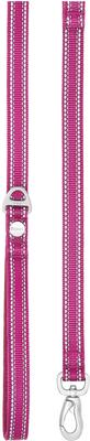 Show full view: Frisco Outdoor Nylon Reflective Comfort Padded Dual Handles Dog Leash, Boysenberry Purple, LG - Length: 6-ft, Width: 1-in slide 2 of 8
