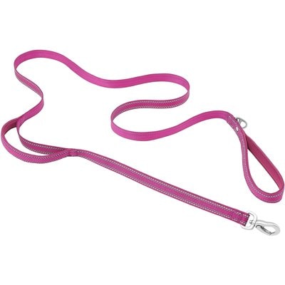 Frisco Frisco Outdoor Nylon Reflective Comfort Padded Dual Handles Dog Leash, Boysenberry Purple, SM - Length: 6-ft, Width: 5/8-in