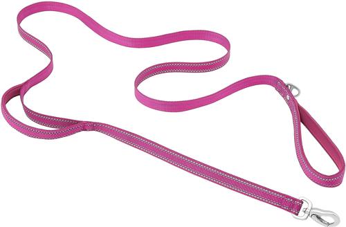Show full view: Frisco Outdoor Nylon Reflective Comfort Padded Dual Handles Dog Leash, Boysenberry Purple, SM - Length: 6-ft, Width: 5/8-in slide 1 of 9