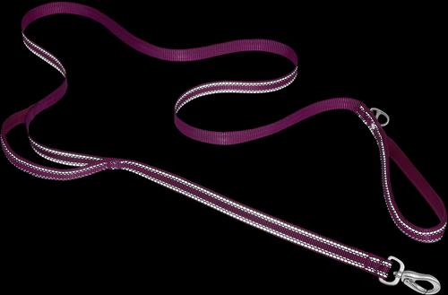 Show full view: Frisco Outdoor Nylon Reflective Comfort Padded Dual Handles Dog Leash, Boysenberry Purple, SM - Length: 6-ft, Width: 5/8-in slide 4 of 9