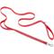 Show in main carousel: Frisco Outdoor Nylon Reflective Comfort Padded Dual Handles Dog Leash, Mars Red, LG - Length: 6-ft, Width: 1-in slide 1 of 8