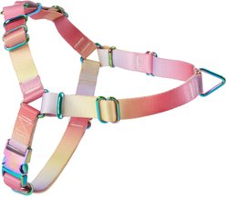 Frisco Outdoor Pink Ombre Style Dog Harness, M - Girth: 20-28-in