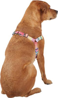 Show full view: Frisco Outdoor Pink Ombre Style Dog Harness, S - Girth: 16-22-in slide 4 of 7
