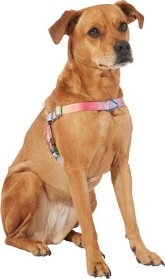 Show full view: Frisco Outdoor Pink Ombre Style Dog Harness, XL - Girth: 32-44-in slide 3 of 7