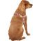 Show in main carousel: Frisco Outdoor Pink Ombre Style Dog Harness, XL - Girth: 32-44-in slide 4 of 7