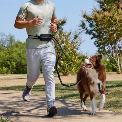 Show full view: Frisco Outdoor Polyester Reflective Running Belt with Bungee Dog Leash, Black slide 6 of 8