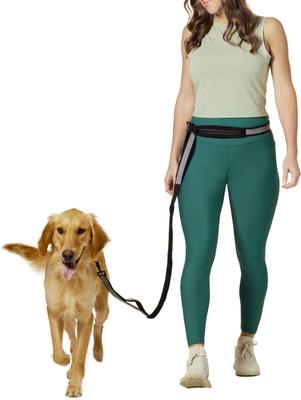 Show full view: Frisco Outdoor Polyester Reflective Running Belt with Bungee Dog Leash, Black slide 4 of 8