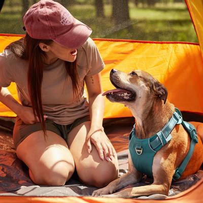 Show full view: Frisco Outdoor Premium Ripstop Nylon Dog Harness with Pocket, Bayou Teal, L - Girth: 24 - 34-in slide 6 of 8