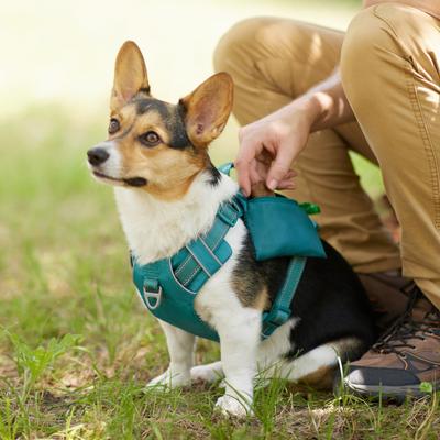Show full view: Frisco Outdoor Premium Ripstop Nylon Dog Harness with Pocket, Bayou Teal, S - Girth: 16 - 22-in slide 5 of 7