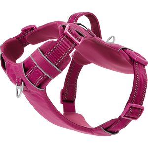 Frisco Outdoor Premium Ripstop Nylon Dog Harness with Pocket, Boysenberry Purple, L - Girth: 24 - 34-in