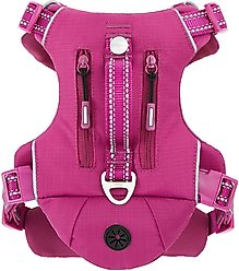 Frisco Outdoor Premium Ripstop Nylon Dog Harness with Pocket, Boysenberry Purple, M - Girth: 20 - 28-in