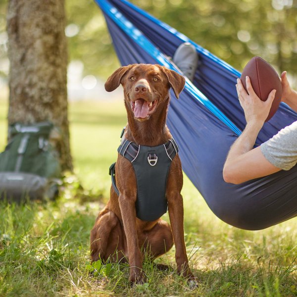 Show full view: Frisco Outdoor Premium Ripstop Nylon Dog Harness with Pocket, Midnight Black, XL - Girth: 32 - 44-in slide 5 of 7