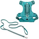 Frisco Outdoor Premium Ripstop Nylon Harness with Pocket, Bayou Teal, Large, Neck: 18 to 28-in, Girth 24 to 34-in + Reflective Comfort Padded Dog Leash, Bayou Teal, Large - Length: 6-ft, Width: 1-in