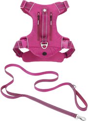 Frisco Outdoor Premium Ripstop Nylon Harness with Pocket, Boysenberry Purple, Large, Neck: 18 to 28-in, Girth 24 to 34-in + Reflective Comfort Padded Dog Leash, Boysenberry Purple, Large - Length: 6-ft, Width: 1-in