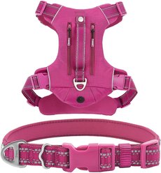 Frisco Outdoor Premium Ripstop Nylon Harness with Pocket, Boysenberry Purple, Medium, Neck: 15 to 23-in, Girth, 20 to 28-in + Reflective Comfort Padded Dog Collar, Boysenberry Purple, Medium - Neck: 14-20-in, Width: 3/4-in