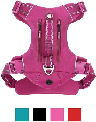 Show full view: Frisco Outdoor Premium Ripstop Nylon Harness with Pocket, Boysenberry Purple, Small, Neck: 13 to 19-in, Girth: 16 to 22-in + Reflective Comfort Padded Dog Collar, Boysenberry Purple, Small - Neck: 10-14-in, Width: 5/8-in slide 2 of 9