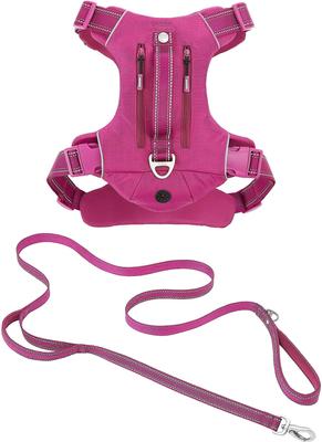 Show full view: Frisco Outdoor Premium Ripstop Nylon Harness with Pocket, Boysenberry Purple, Small, Neck: 13 to 19-in, Girth: 16 to 22-in + Reflective Comfort Padded Dog Leash, Boysenberry Purple, Small - Length: 6-ft, Width: 5/8-in slide 1 of 10