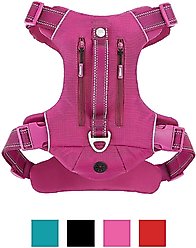 Frisco Outdoor Premium Ripstop Nylon Harness with Pocket, Boysenberry Purple, Small, Neck: 13 to 19-in, Girth: 16 to 22-in + Reflective Comfort Padded Dog Leash, Boysenberry Purple, Small - Length: 6-ft, Width: 5/8-in slide 2 of 9