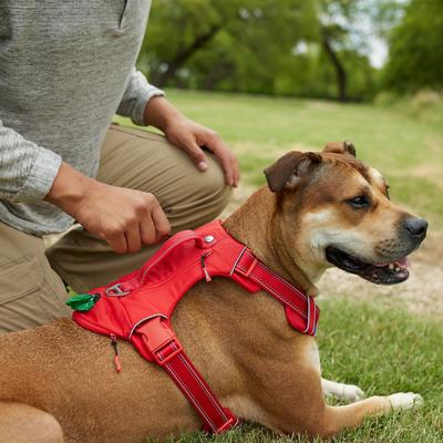 Show full view: Frisco Outdoor Premium Ripstop Nylon Harness with Pocket, Sunset Orange, Extra Large, Neck: 22 to 34-in, Girth: 32 to 44-in + Reflective Comfort Padded Dog Leash, Sunset Orange, Large - Length: 6-ft, Width: 1-in slide 5 of 10