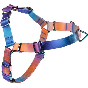 Frisco Outdoor Purple Ombre Style Dog Harness, L - Girth: 24-34-in