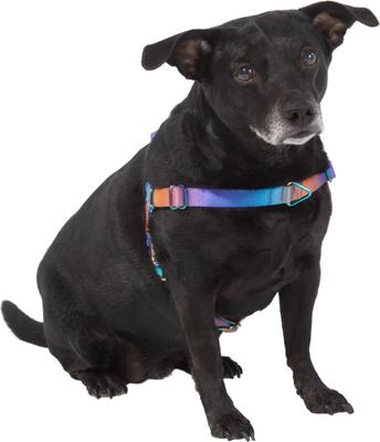 Show full view: Frisco Outdoor Purple Ombre Style Dog Harness, S - Girth: 16-22-in slide 3 of 7