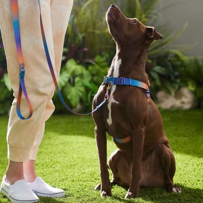 Show full view: Frisco Outdoor Purple Ombre Style Dog Harness, XL - Girth: 32-44-in slide 5 of 7