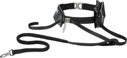 Frisco Outdoor Running Belt with Bungee Dog Leash, Black, SM