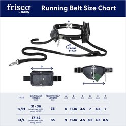 Frisco Outdoor Running Belt with Bungee Dog Leash, Black, SM slide 2 of 7