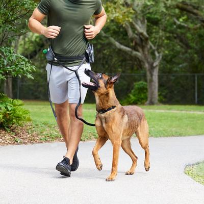 Show full view: Frisco Outdoor Running Belt with Bungee Dog Leash, Black, SM slide 7 of 10