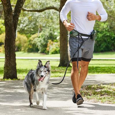 Show full view: Frisco Outdoor Running Belt with Bungee Dog Leash, Green, SM slide 6 of 9