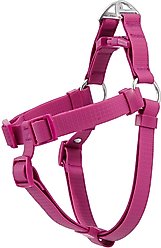 Frisco Outdoor Solid Textured Waterproof Stink Proof PVC Dog Harness, Boysenberry Purple, Large, Neck: 19 to 27-in, Girth: 23 to 36-in