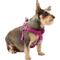 Show in main carousel: Frisco Outdoor Solid Textured Waterproof Stink Proof PVC Dog Harness, Boysenberry Purple,Extra Large, Neck: 22 to 33-in, Girth: 28 to 48-in slide 3 of 7