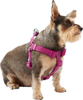 Show full view: Frisco Outdoor Solid Textured Waterproof Stink Proof PVC Dog Harness, Boysenberry Purple,Extra Large, Neck: 22 to 33-in, Girth: 28 to 48-in slide 3 of 7