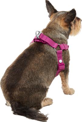 Show full view: Frisco Outdoor Solid Textured Waterproof Stink Proof PVC Dog Harness, Boysenberry Purple,Extra Large, Neck: 22 to 33-in, Girth: 28 to 48-in slide 4 of 7