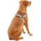 Show in main carousel: Frisco Outdoor Solid Textured Waterproof Stink Proof PVC Dog Harness, Storm Gray, Large, Neck: 19 to 27-in, Girth: 23 to 36-in slide 4 of 7