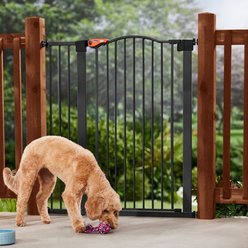 Frisco Outdoor Steel Arch Extra Tall Auto-Close Dog Gate, Black, 41-in