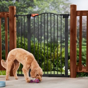 Frisco Outdoor Steel Arch Extra Tall Auto-Close Dog Gate, Black, 41-in
