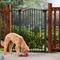 Show in main carousel: Frisco Outdoor Steel Arch Extra Tall Auto-Close Dog Gate, Black, 41-in slide 1 of 7